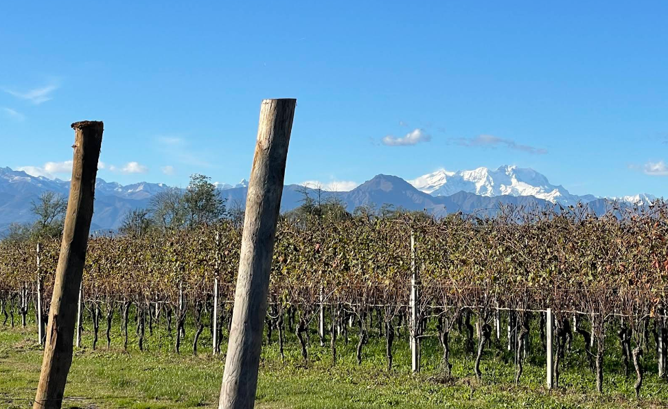 Visita cantina I Dof Mati Fara Novarese